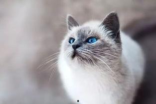 娱乐吃瓜酱桂花猫,揭秘娱乐圈那些不为人知的幕后故事 第2张 娱乐吃瓜酱桂花猫,揭秘娱乐圈那些不为人知的幕后故事 第2张